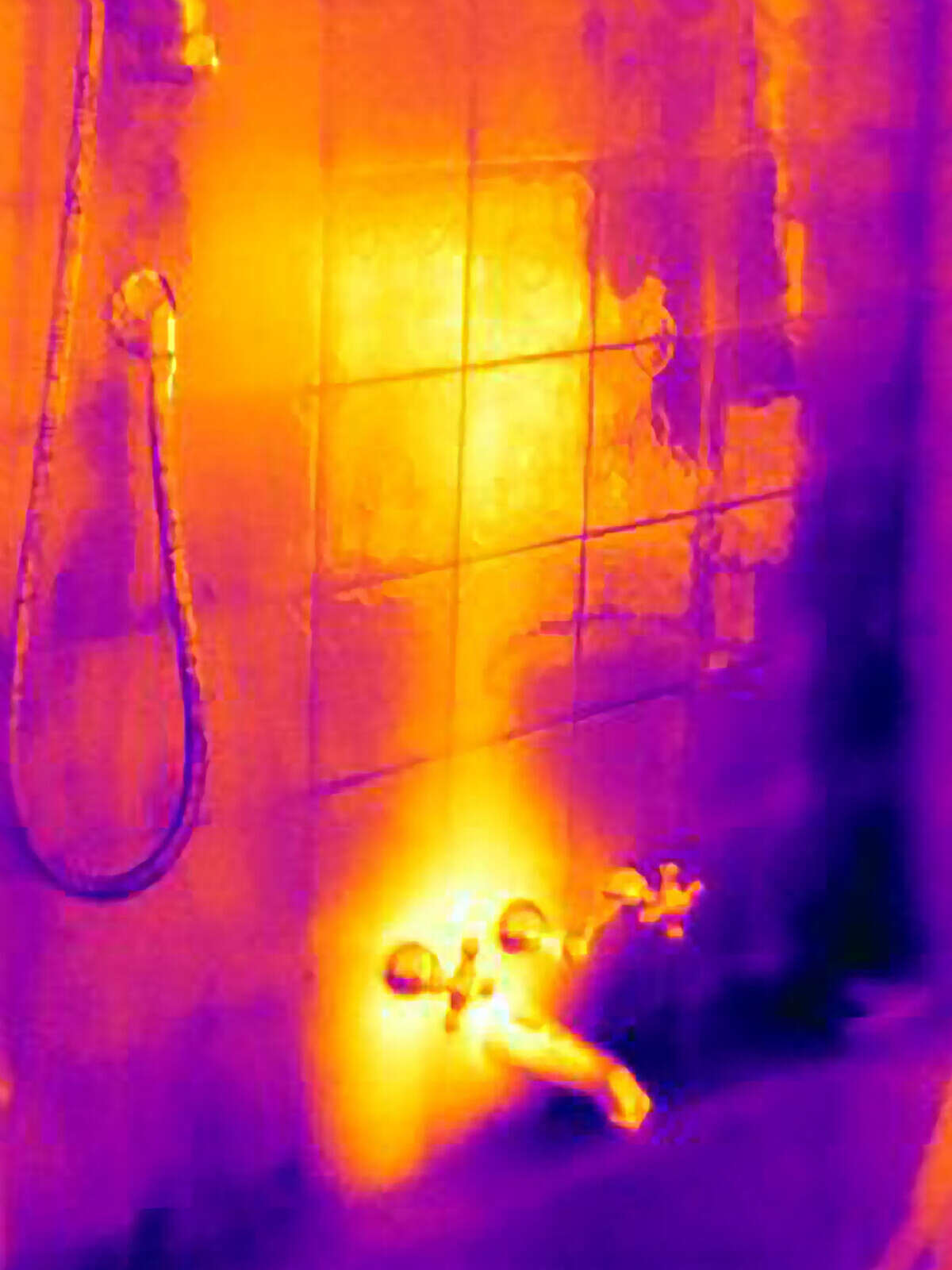 thermal image for detecting a shower leak